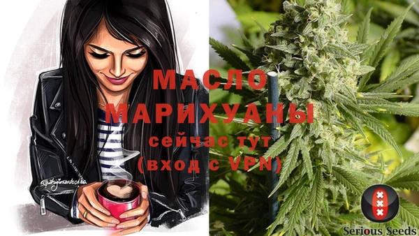метадон Новодвинск