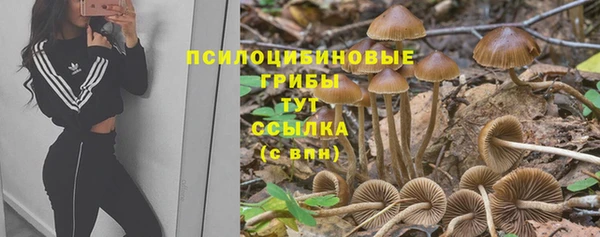 кокаин колумбия Новозыбков