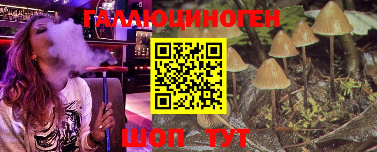 Галлюциногенные грибы GOLDEN TEACHER Ухта