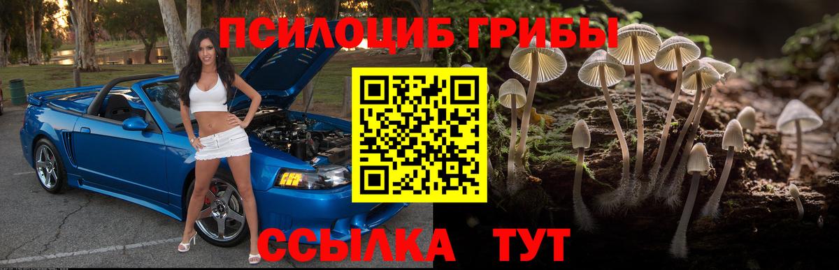 Псилоцибиновые грибы Cubensis  Вход с VPN  Ухта 
